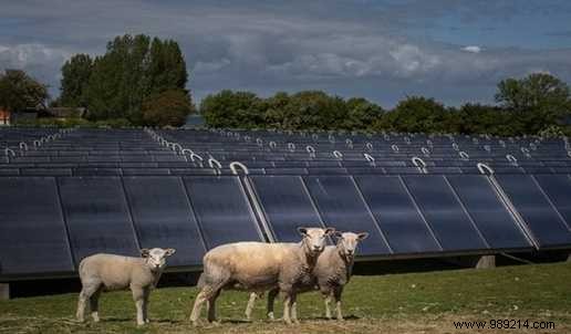 World s 5 Most Ambitious Solar Energy Projects Driving Clean Power Innovation