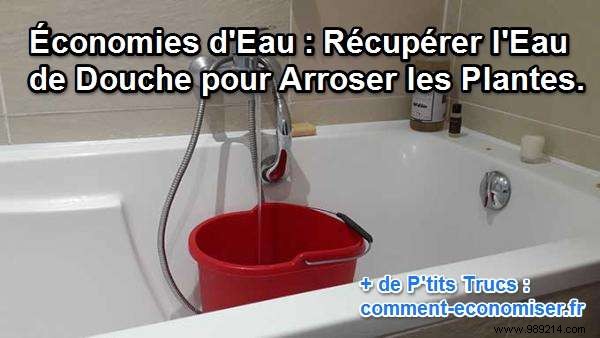 Save Water and Money: Collect Shower Warm-Up Water for Plants