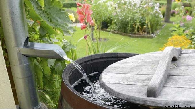 Harvest Free Rainwater with a Gutter Collector: Easy DIY Guide to Slash Water Bills
