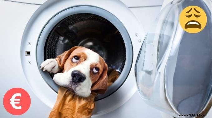 How Much Does Each Washing Machine Load Cost? €0.93 Breakdown & Real Savings Tips