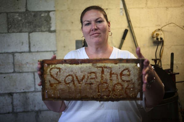 Cuba s Pesticide-Free Revolution: Thriving Bees and Record Honey Yields