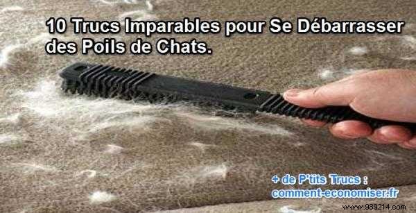 10 Proven Tips to Effortlessly Remove Cat Hair from Home and Clothes