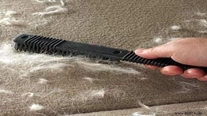 10 Proven Tips to Effortlessly Remove Cat Hair from Home and Clothes