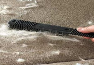 10 Proven Tips to Effortlessly Remove Cat Hair from Home and Clothes