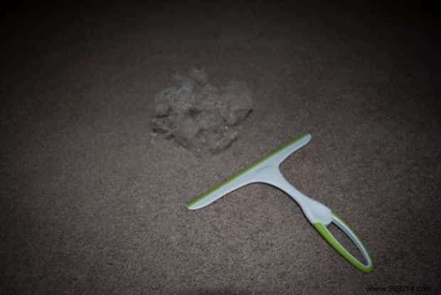 15 Proven Dog Care Hacks from Experienced Pet Owners