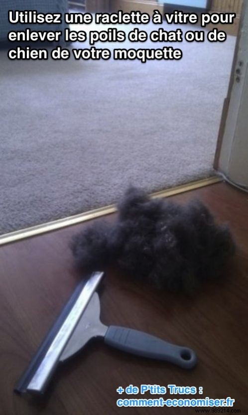 Effortless Pet Hair Removal: Clean Carpets, Rugs, and Sofas with a Squeegee