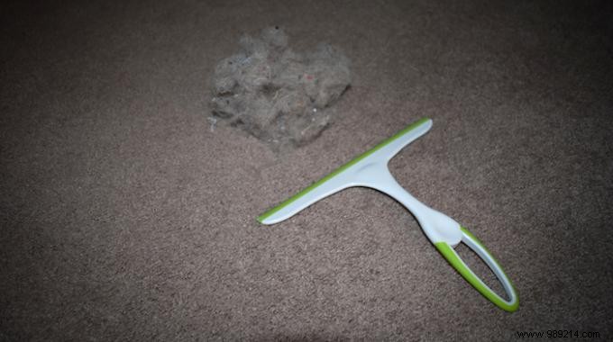 Effortless Pet Hair Removal: Clean Carpets, Rugs, and Sofas with a Squeegee