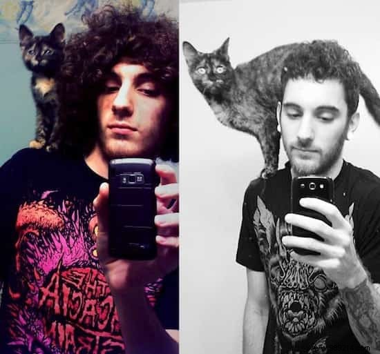 39 Heartwarming Before-and-After Cat Photos: Transformations Powered by Love and Care