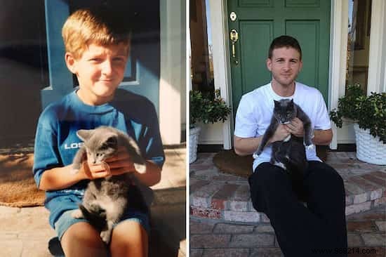 39 Heartwarming Before-and-After Cat Photos: Transformations Powered by Love and Care