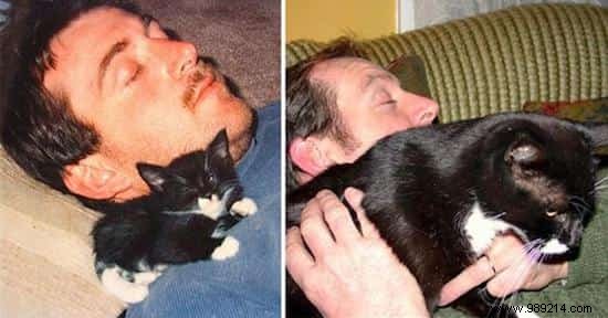 39 Heartwarming Before-and-After Cat Photos: Transformations Powered by Love and Care