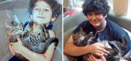 39 Heartwarming Before-and-After Cat Photos: Transformations Powered by Love and Care