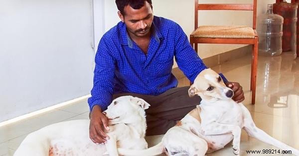 Man Saves for 10 Years to Build Dog Ambulance, Rescuing Abandoned Strays in Pune, India