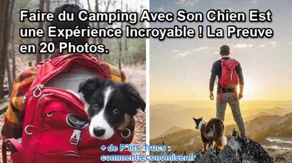 20 Heartwarming Photos Proving Camping with Your Dog is Unforgettable