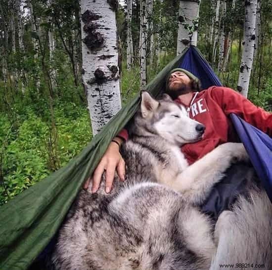 20 Heartwarming Photos Proving Camping with Your Dog is Unforgettable