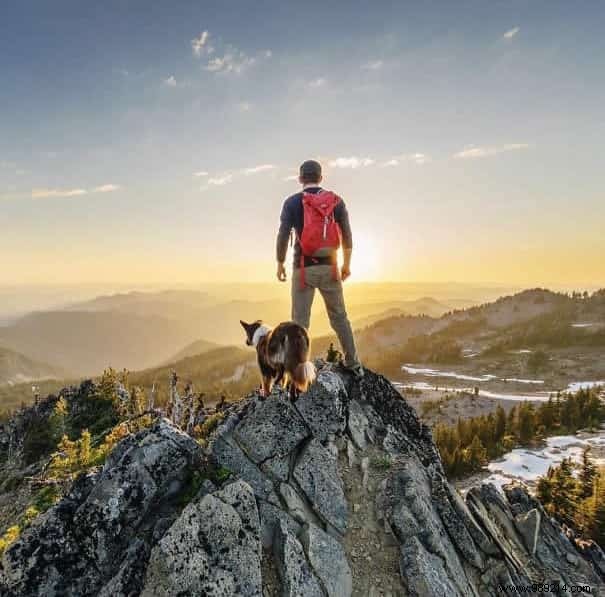 20 Heartwarming Photos Proving Camping with Your Dog is Unforgettable