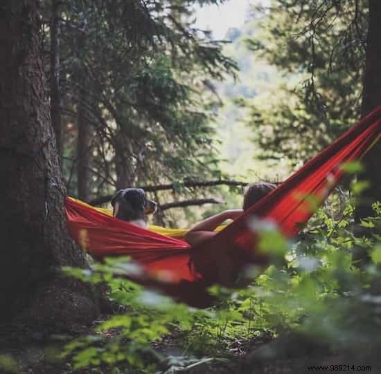 20 Heartwarming Photos Proving Camping with Your Dog is Unforgettable