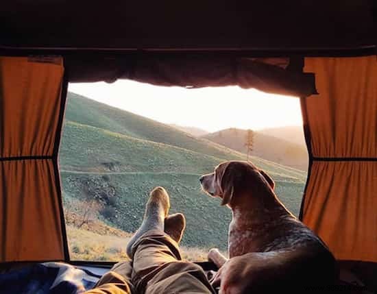 20 Heartwarming Photos Proving Camping with Your Dog is Unforgettable