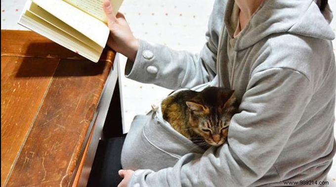 Kangaroo Sweatshirt: Carry Your Cat Everywhere in Comfort