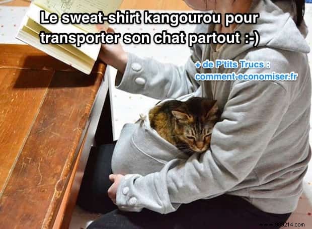 Kangaroo Sweatshirt: Carry Your Cat Everywhere in Comfort