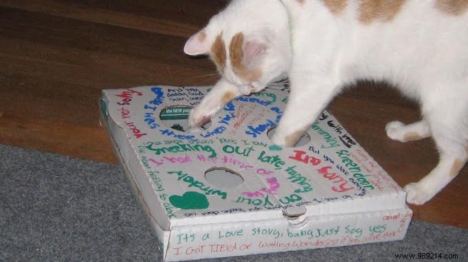 Easy DIY Cat Toy: Free Pizza Box and Ping Pong Ball Fun