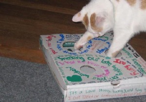 Easy DIY Cat Toy: Free Pizza Box and Ping Pong Ball Fun