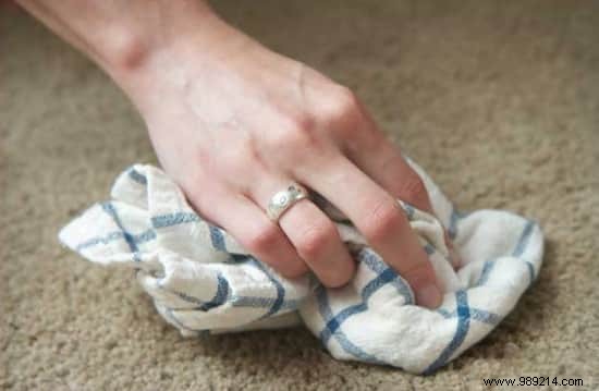 3 Proven Homemade Stain Removers for Dog Urine, Vomit, and Mud