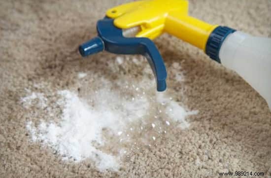 3 Proven Homemade Stain Removers for Dog Urine, Vomit, and Mud