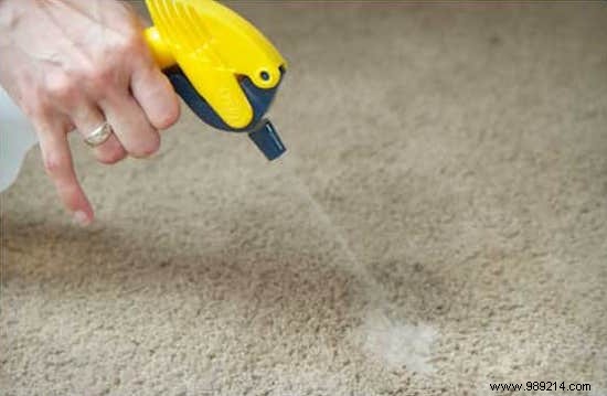 3 Proven Homemade Stain Removers for Dog Urine, Vomit, and Mud