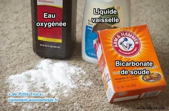 3 Proven Homemade Stain Removers for Dog Urine, Vomit, and Mud