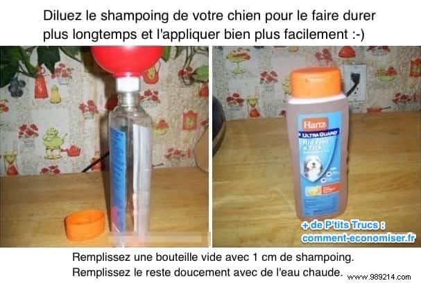 Pro Tip: Dilute Dog Shampoo to Make It Last 4x Longer and Save Money