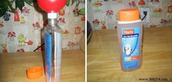 10 Proven Tips to Save Money on Dog Ownership – Advice from Experienced Pet Owners