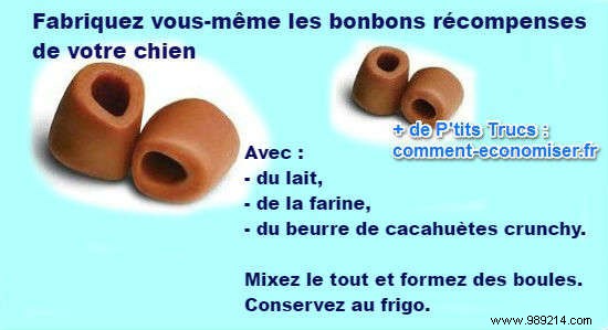 10 Proven Tips to Save Money on Dog Ownership – Advice from Experienced Pet Owners