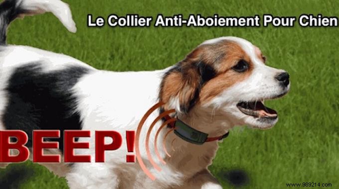 Humane Anti-Bark Collar: Effective Training for Peaceful Homes