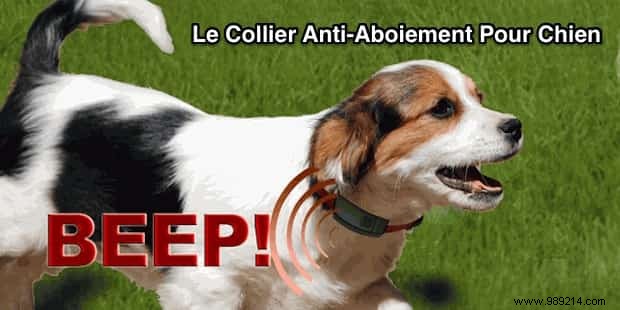 Humane Anti-Bark Collar: Effective Training for Peaceful Homes