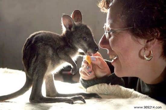 22 Heartwarming Photos of Baby Animals to Melt Your Heart