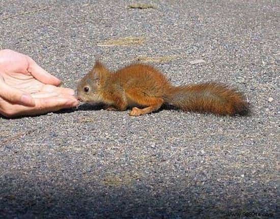 22 Heartwarming Photos of Baby Animals to Melt Your Heart