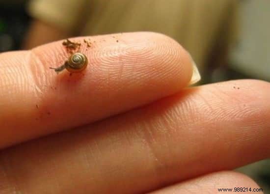 22 Heartwarming Photos of Baby Animals to Melt Your Heart