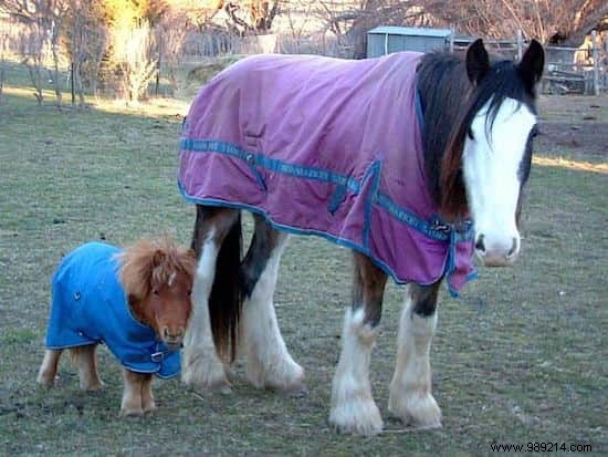 22 Heartwarming Photos of Baby Animals to Melt Your Heart