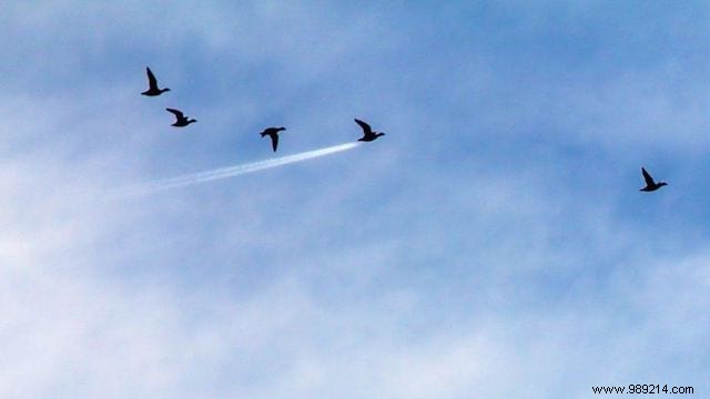 24 Hilarious Animal Photos Guaranteed to Brighten Your Day