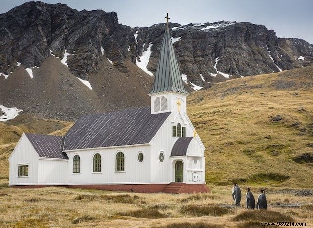 24 Hilarious Animal Photos Guaranteed to Brighten Your Day