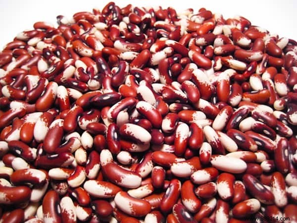 Safe Human Foods for Dogs: Expert Guide to 104 Foods Your Pup Can Eat