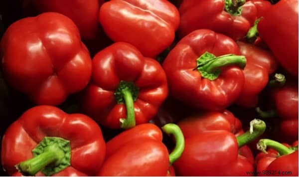 Safe Human Foods for Dogs: Expert Guide to 104 Foods Your Pup Can Eat