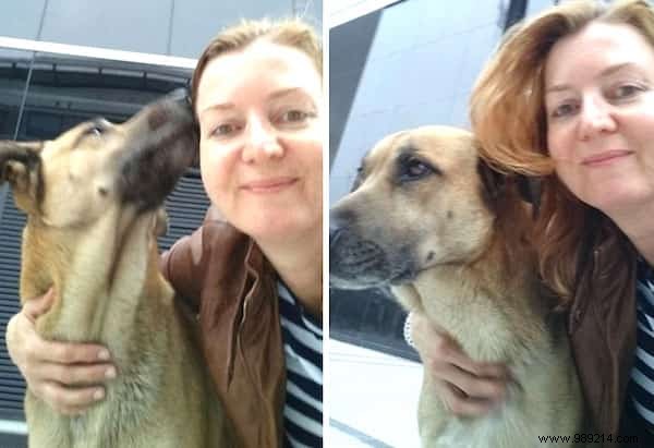 Heartwarming Bond: Stray Dog Waits 6 Months for Flight Attendant Outside Her Buenos Aires Hotel