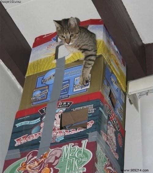 20 Creative Cat Trees Your Cat Will Love: Innovative Designs for Climbing and Play