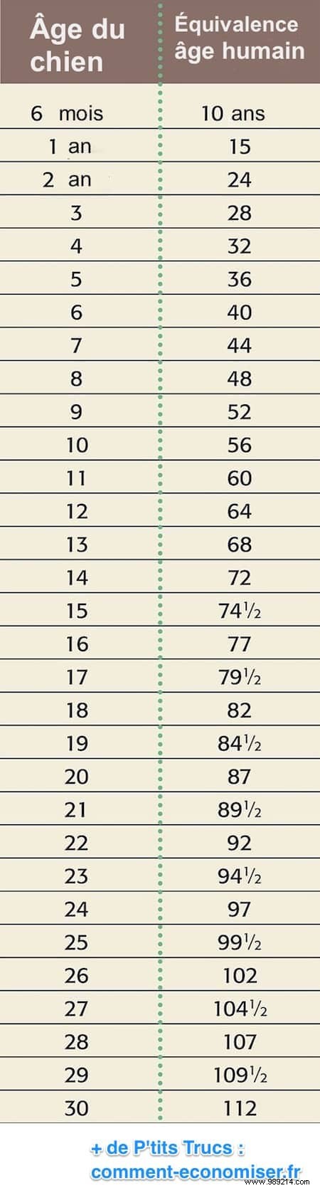 Dog Years to Human Years: Accurate Age Conversion Chart for Large Breeds