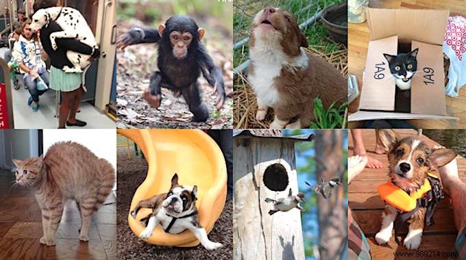 19 Adorable Photos of Animals Discovering the World for the First Time