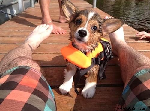 19 Adorable Photos of Animals Discovering the World for the First Time