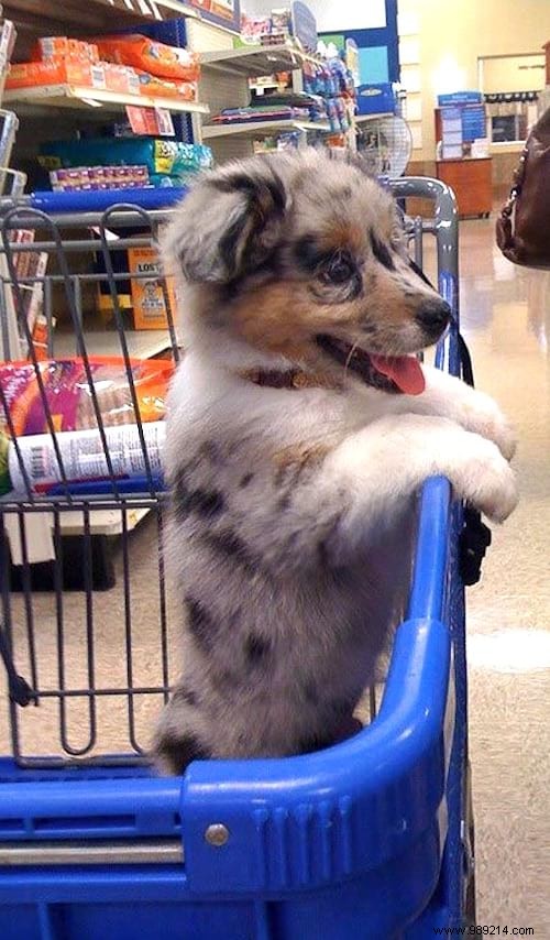 19 Adorable Photos of Animals Discovering the World for the First Time