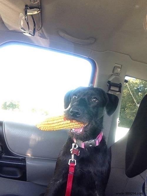 19 Adorable Photos of Animals Discovering the World for the First Time