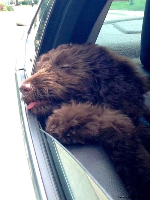 19 Adorable Photos of Animals Discovering the World for the First Time